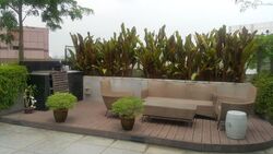 Residences @ Killiney (D9), Apartment #460176511